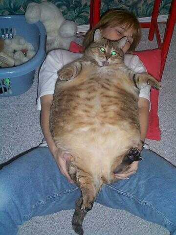 Big pussy