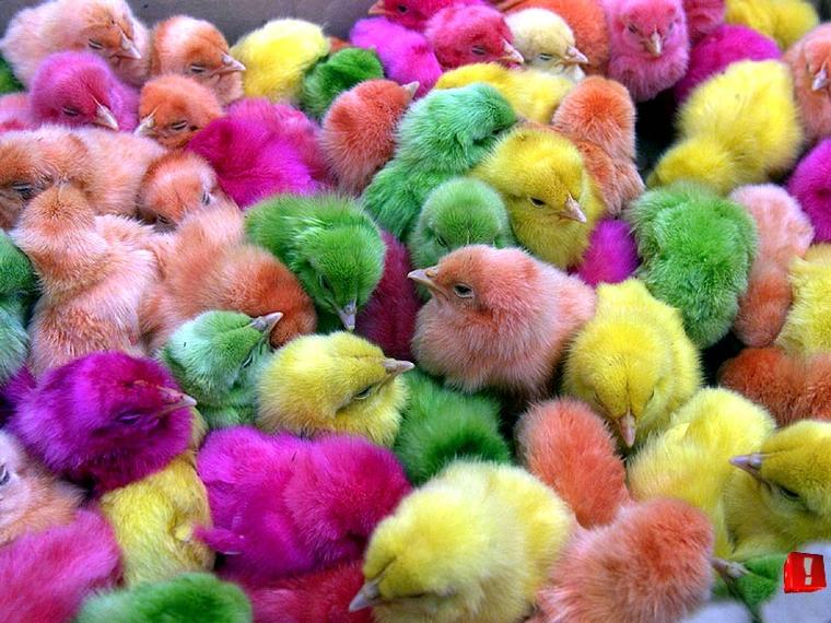 United Colors