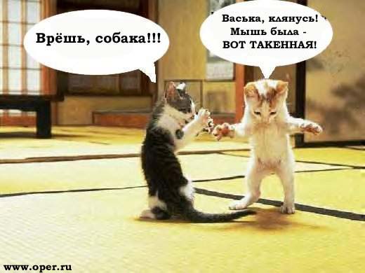 Рассказ друга
