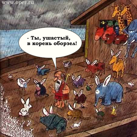 Случай на ковчеге