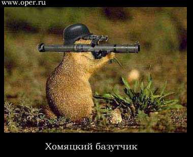 Хомяк