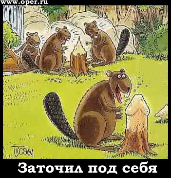 Бобёр