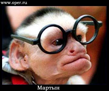 Мартын