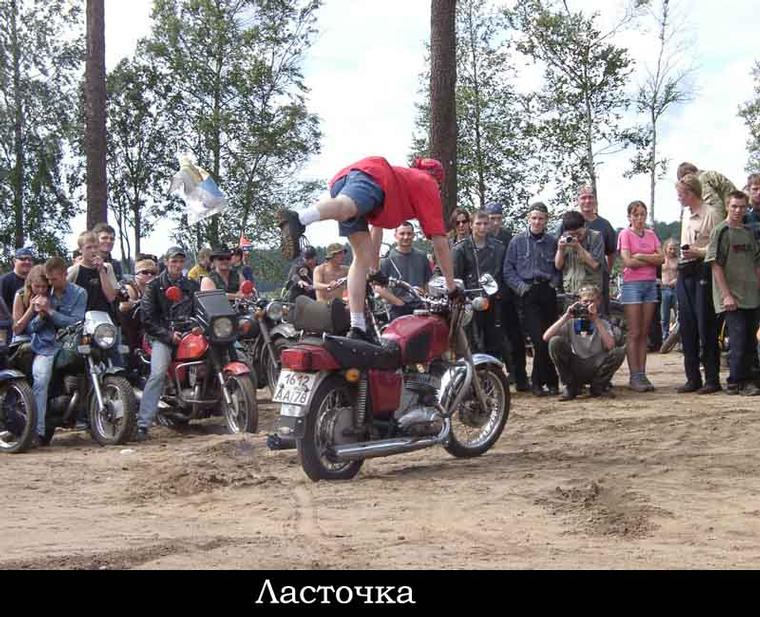 Ласточка