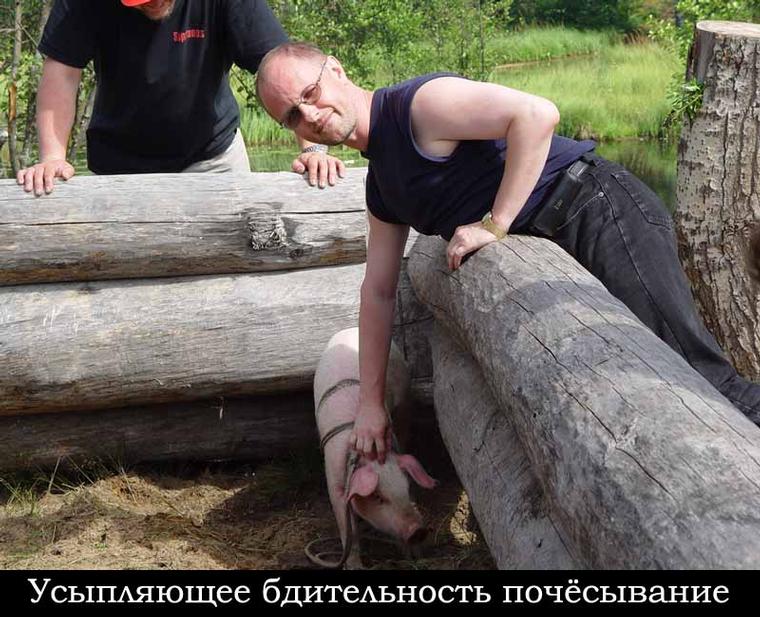 Почёс