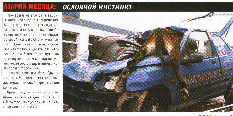 Ослы на дорогах