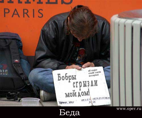 Беда 