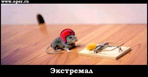Экстремал