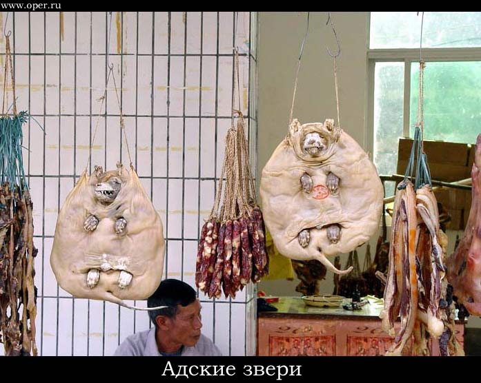 Адские звери
