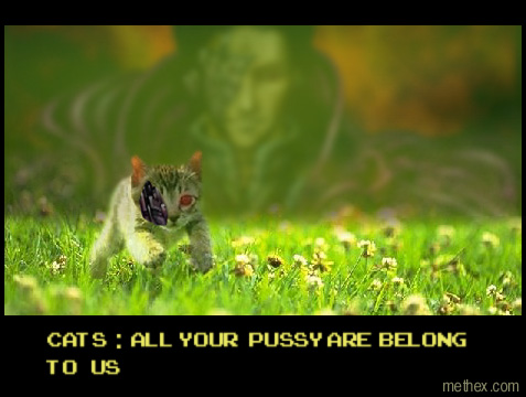 Pussy