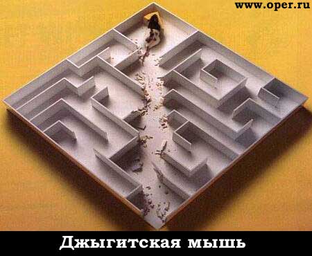 Джыгитская мышь