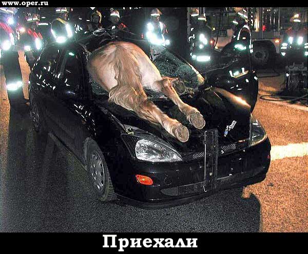 Приехали