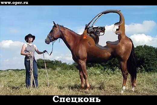 Спецконь