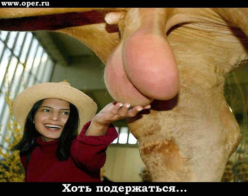 Хоть подержаться...