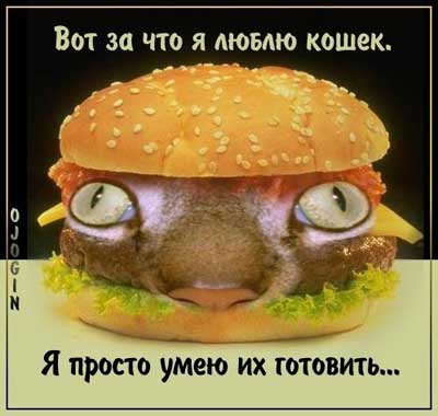 Хоткэт