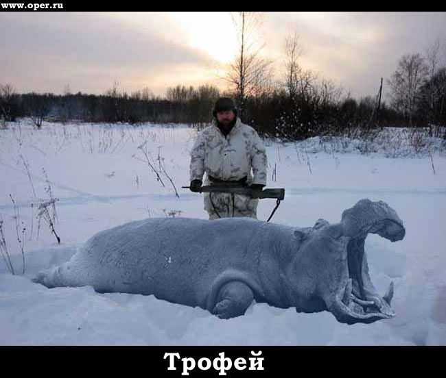 Трофей 