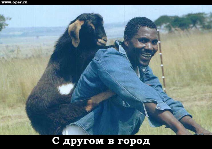 С другом в город