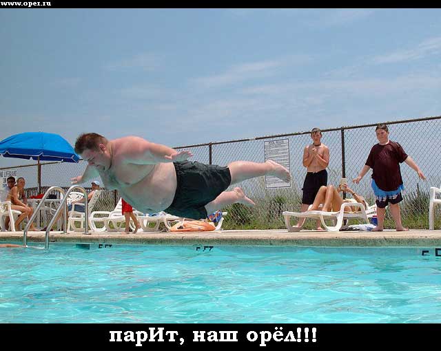 Орёл