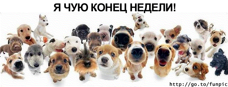 Они чуют