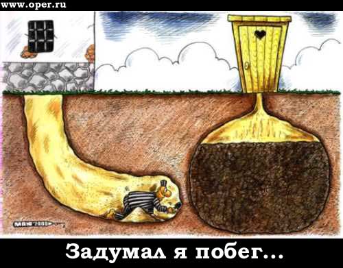 Задумал я