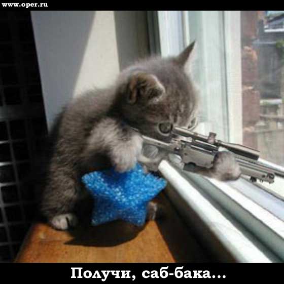 Снайпер