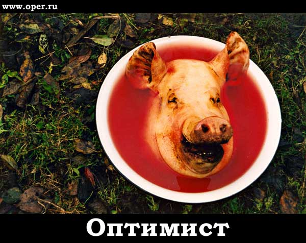 Оптимист 