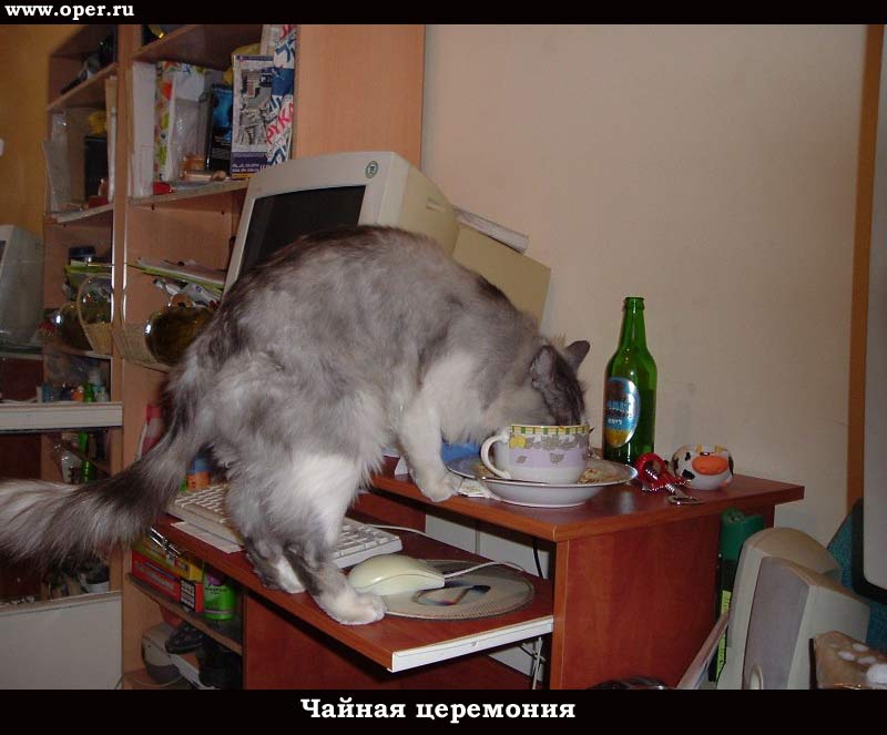 Чайная церемония
