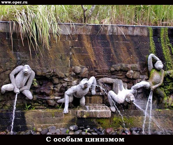 Макаки
