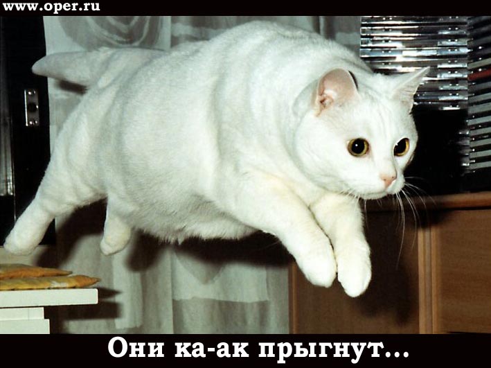 Напрыг