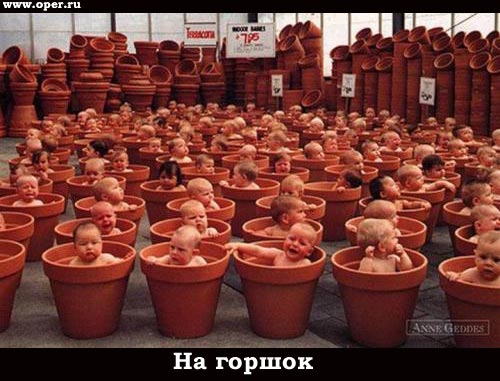 На горшке