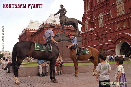 Кентавры