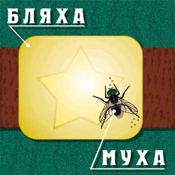Бляха-муха