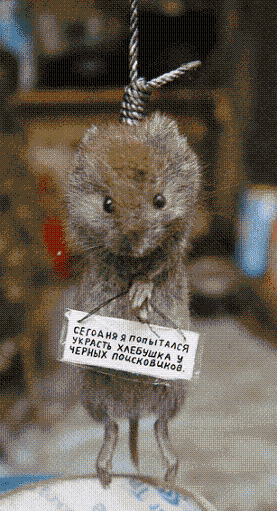 Попался
