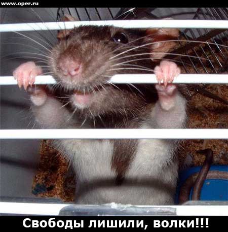Лишенец