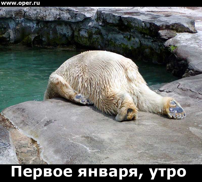 Утро