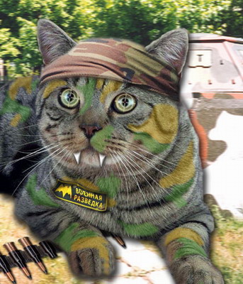 Военная разведка