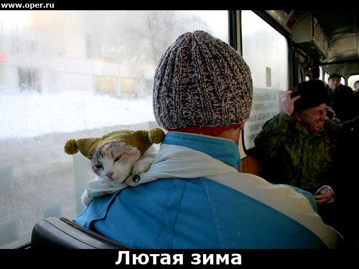 Зима 