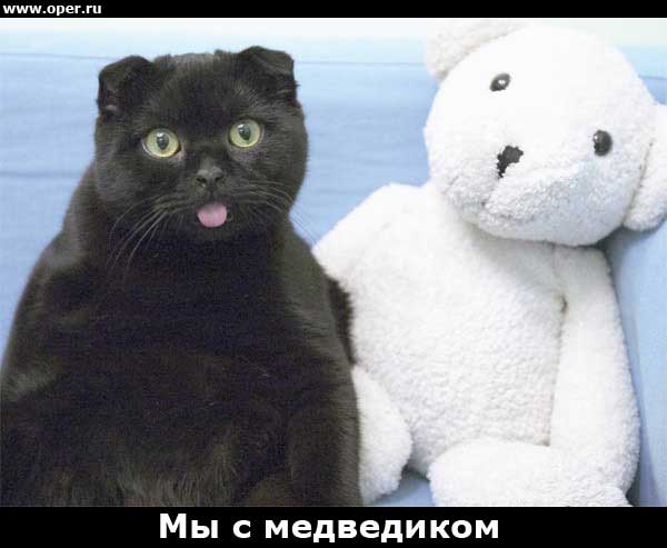 Мы с медведиком