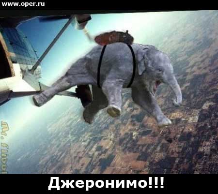 В прыжке