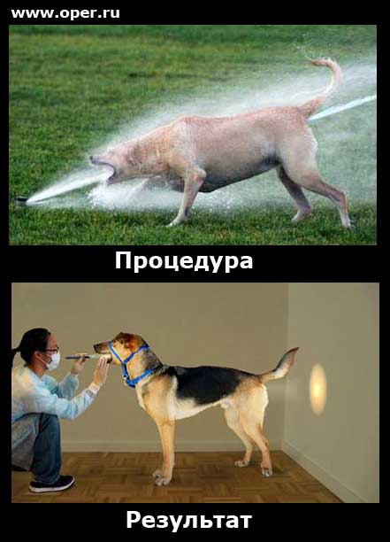 Процедура