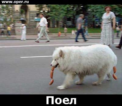 Поел 