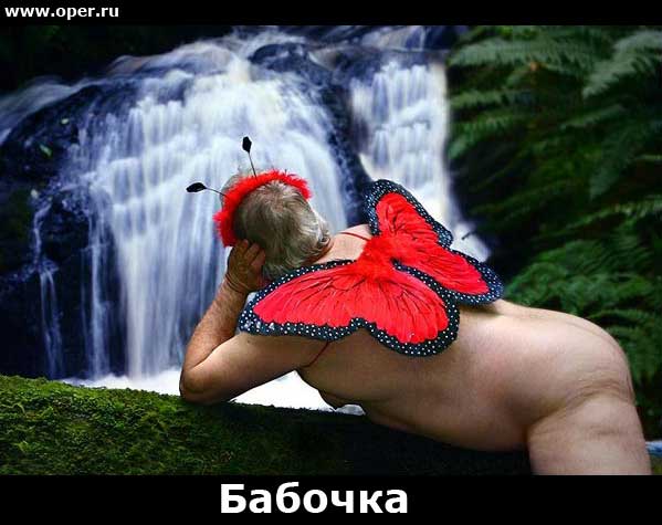 Бабочка   [R]  