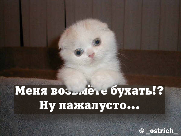 Не взяли