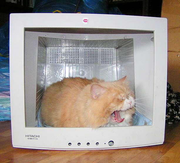 Скукота...