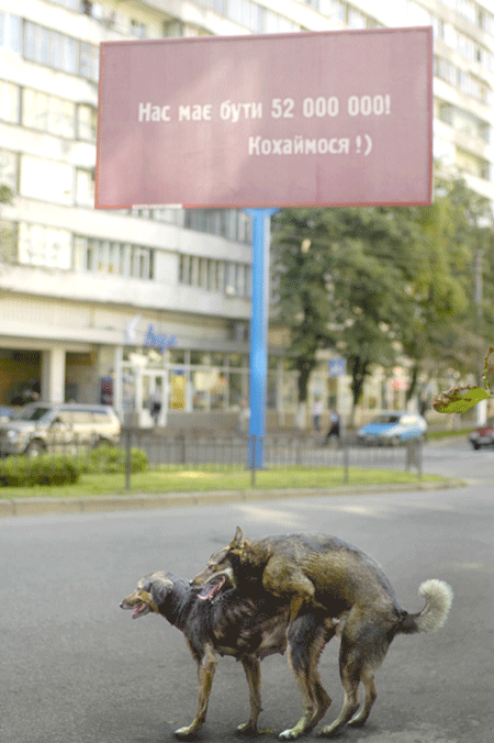 Кохаймося! 