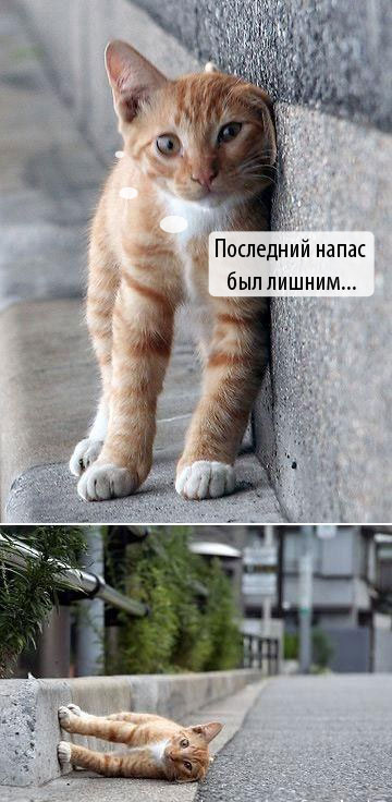 Вставило