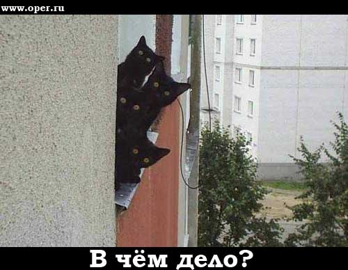В чём дело?
