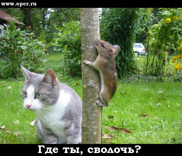 Где ты?