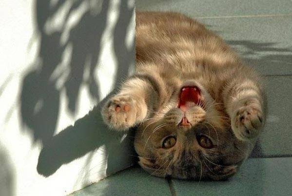 Оба-на!!!