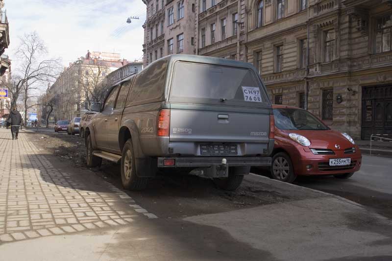 Придорожный газон